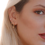 Look Harmony - LOOKS - DAANA